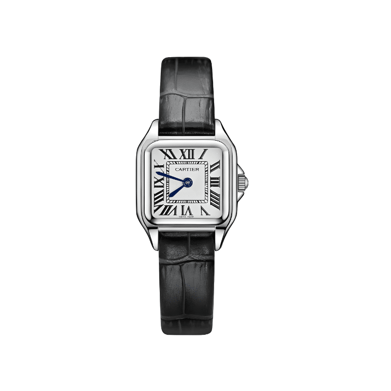 Cartier Santos Dumont Silver ceinture Noir